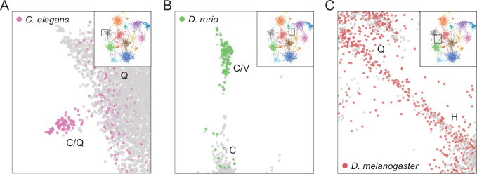 Figure 5—figure supplement 4.