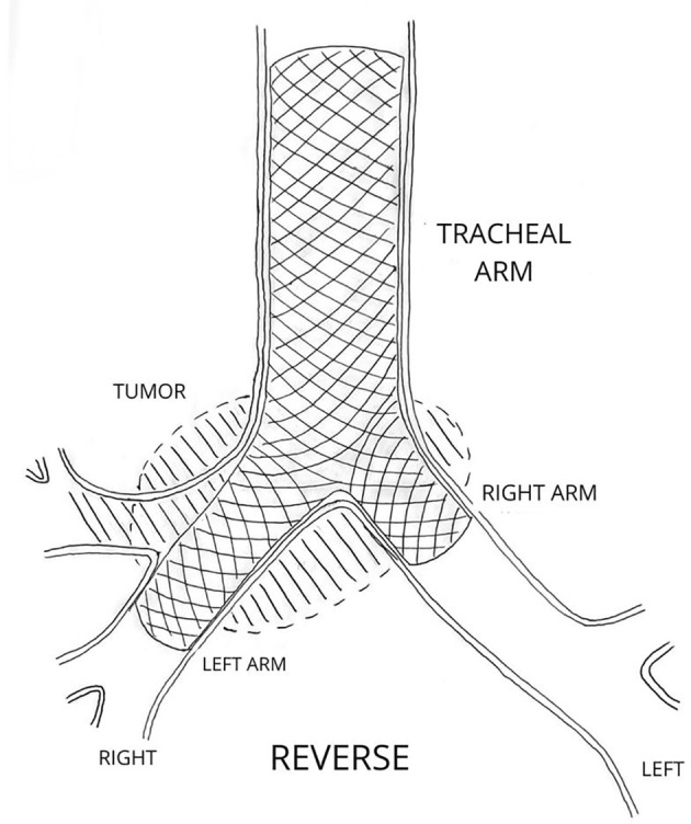 FIGURE 8