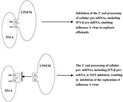 FIG. 8.