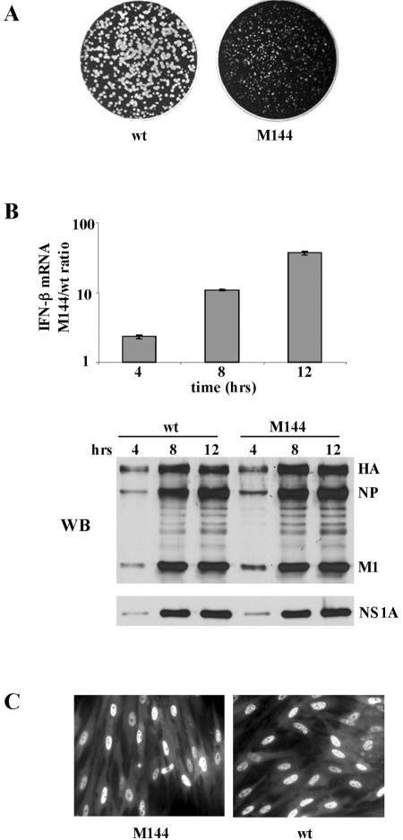 FIG. 3.