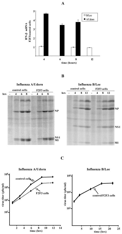 FIG. 7.