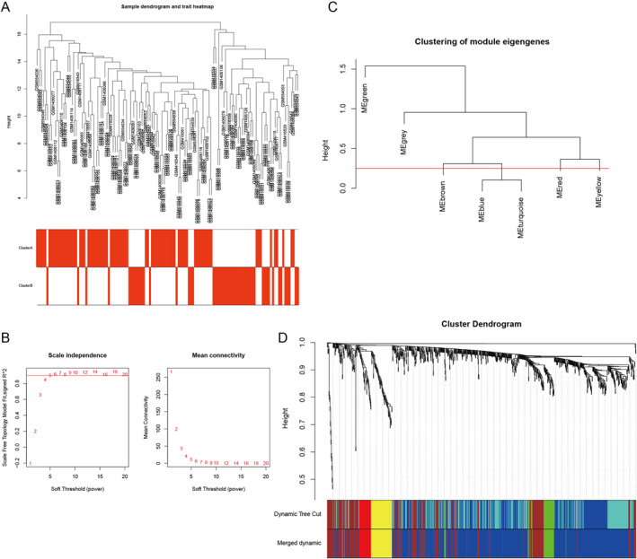 Identification Of Molecular Subtypes Of Ischaemic Stroke Based On