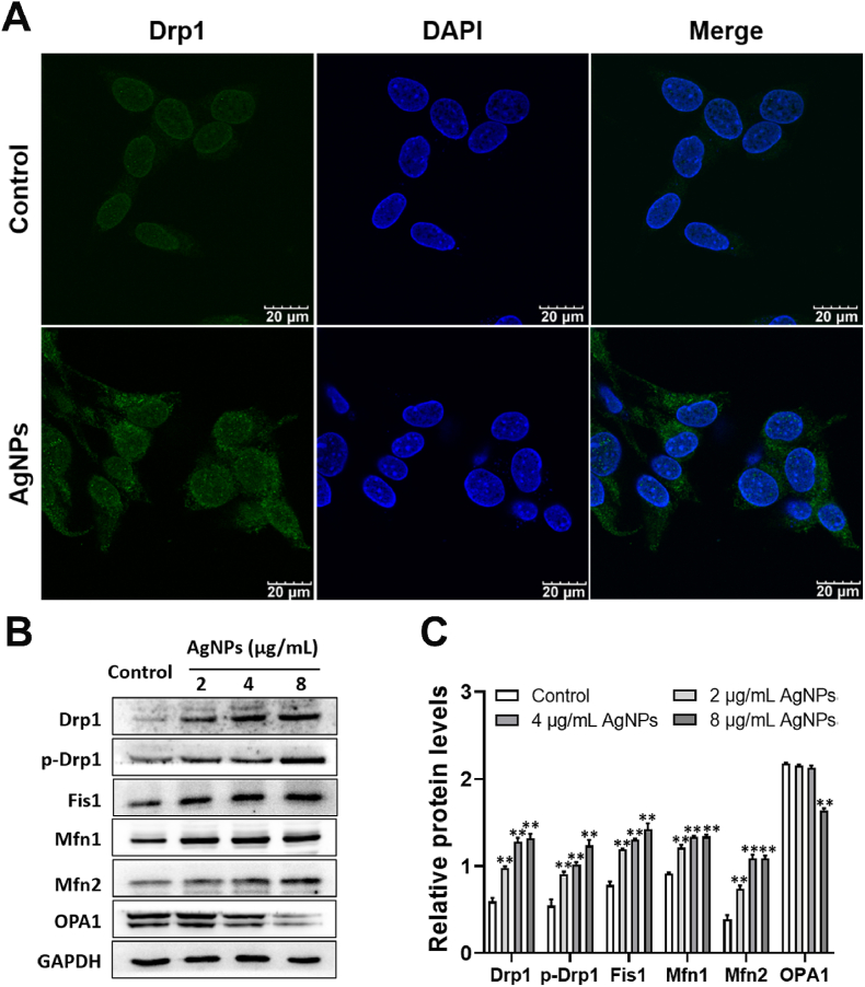 Fig. 4