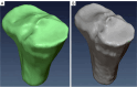 Figure 13