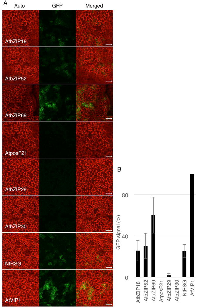 Fig. 4