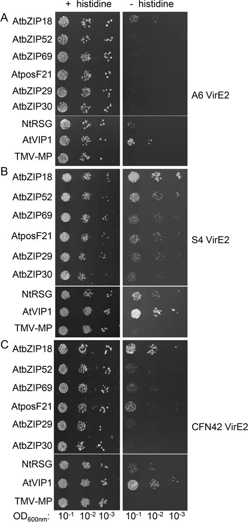 Fig. 3