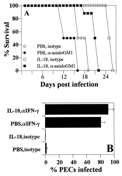 FIG. 7