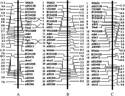 Figure 2.—