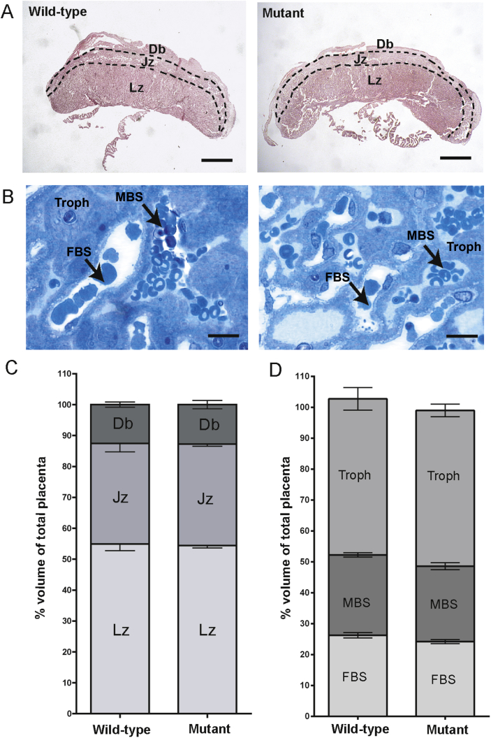 Fig. 4