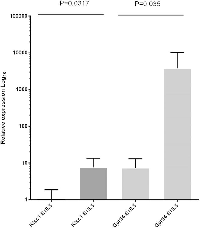 Fig. 3