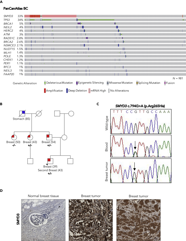 Figure 3