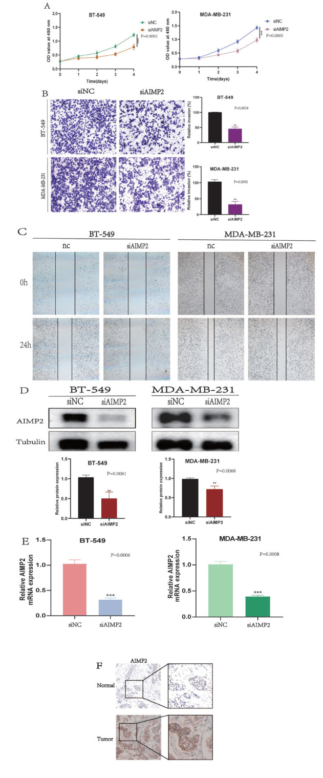 Fig. (10)