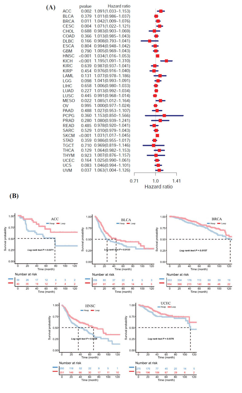 Fig. (2)