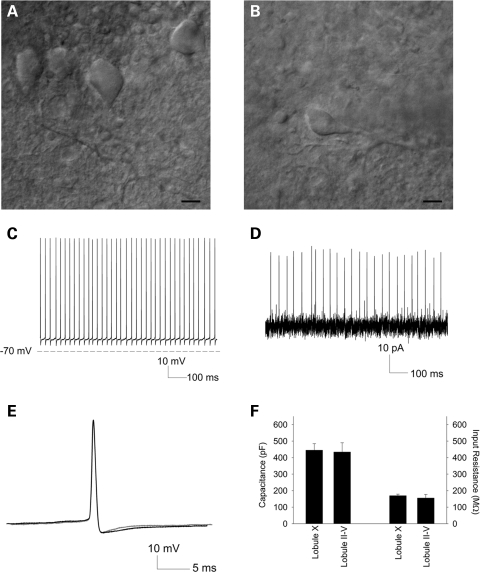 Figure 6.