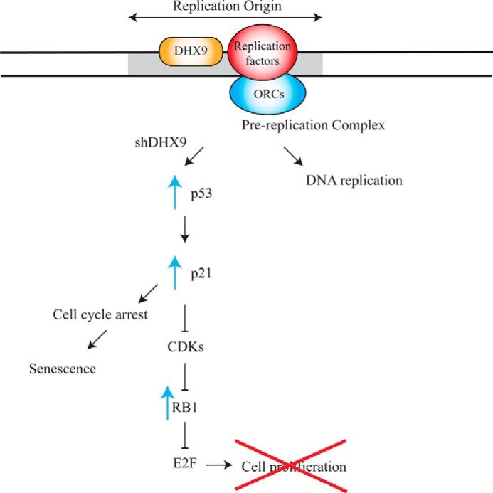 FIGURE 11.