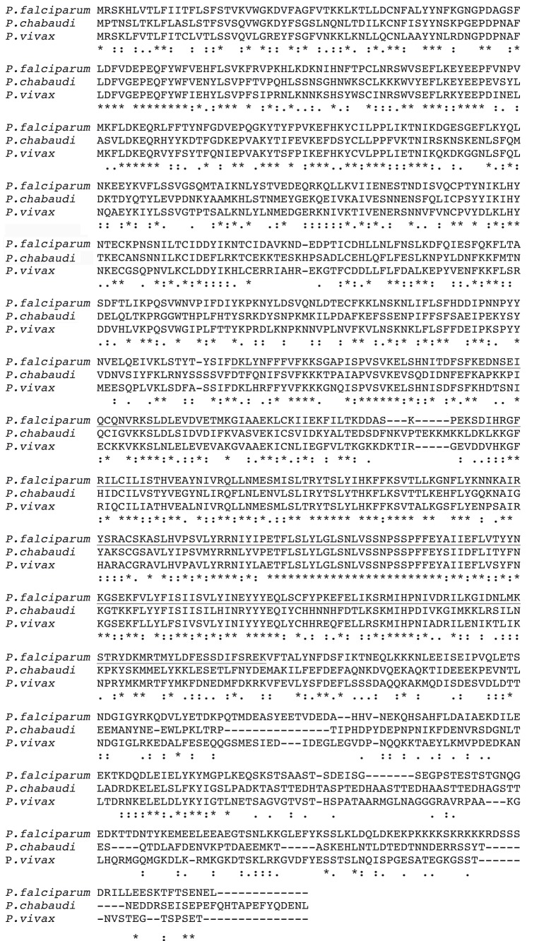 Figure 1—figure supplement 1.