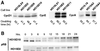 FIG. 9