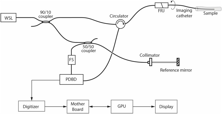 Fig 1