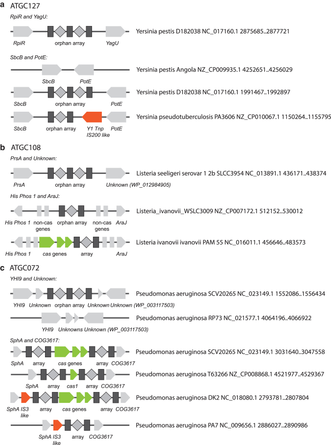 FIG. 6.