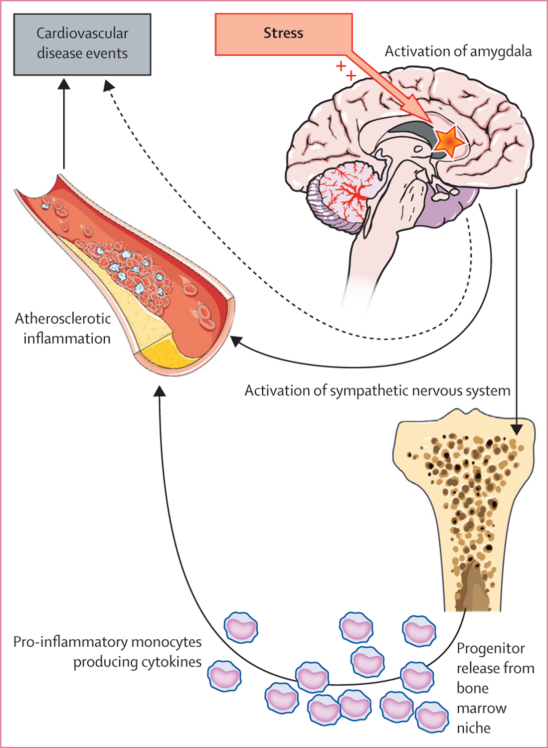 Figure 6: