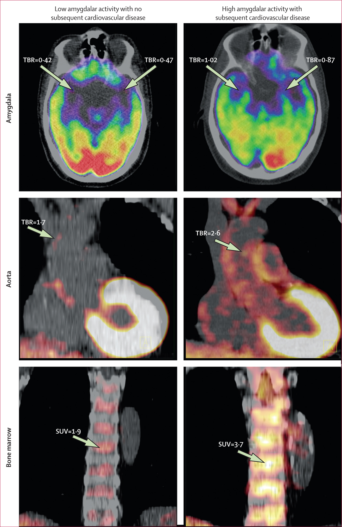 Figure 2: