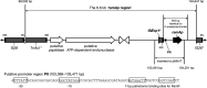 FIG 2