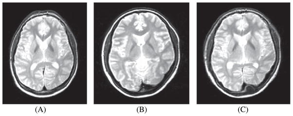 Fig. 8