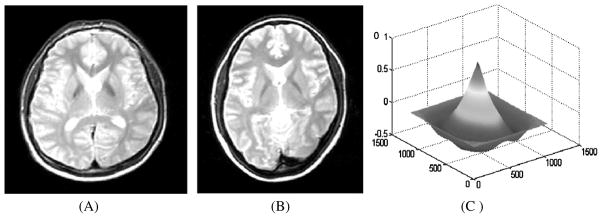 Fig. 9