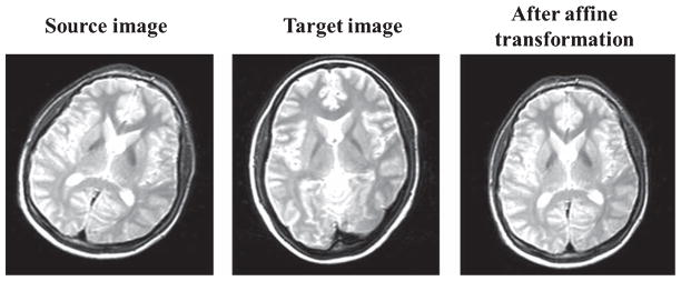 Fig. 7