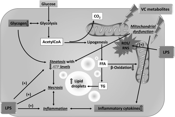 FIG. 8.