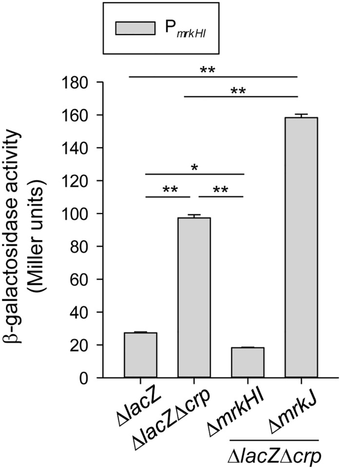 Fig 5