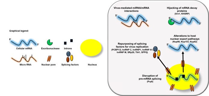 FIG 1