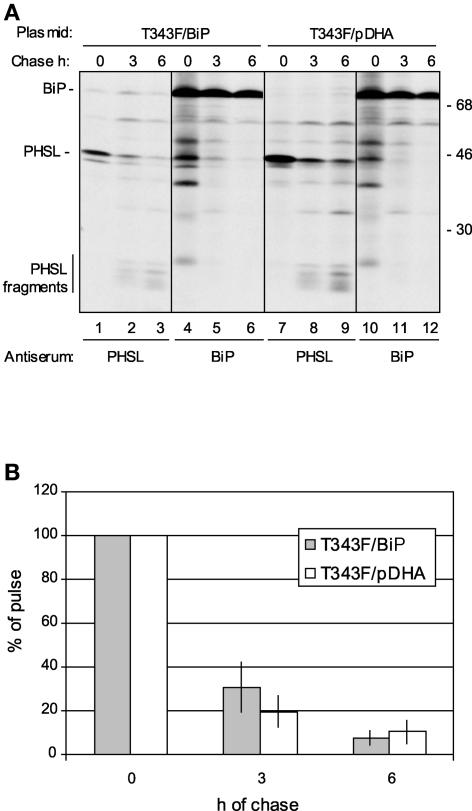 Figure 9.