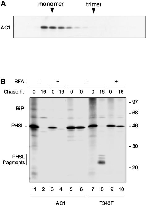 Figure 7.