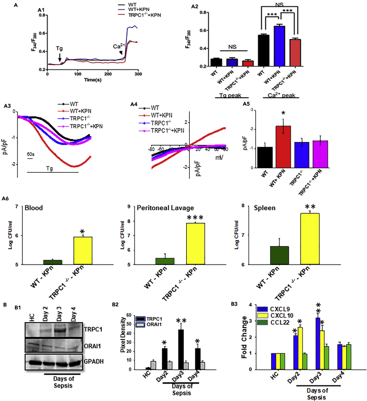 Figure 6