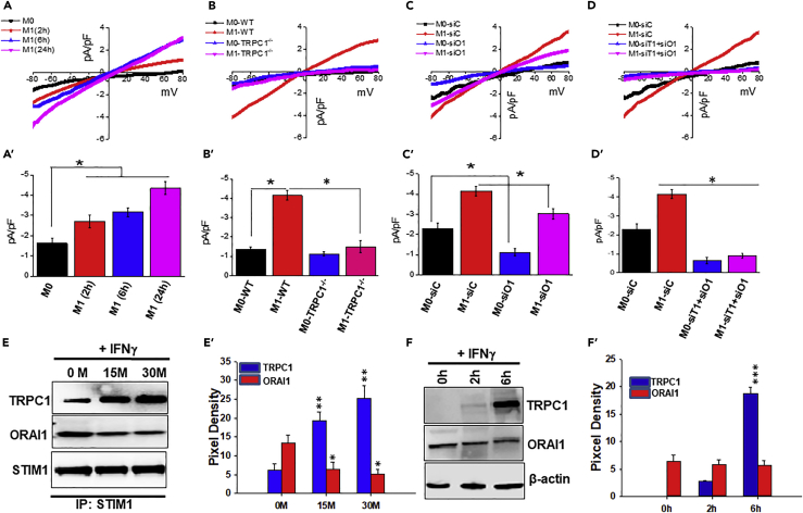 Figure 2