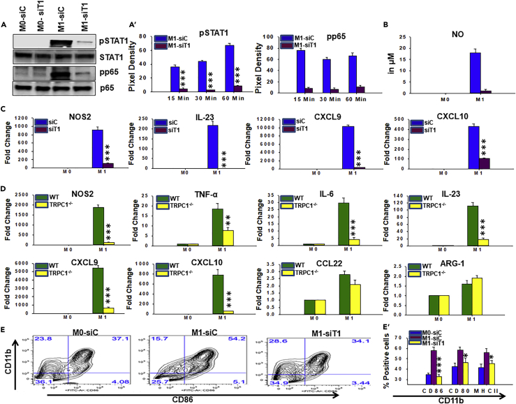 Figure 4