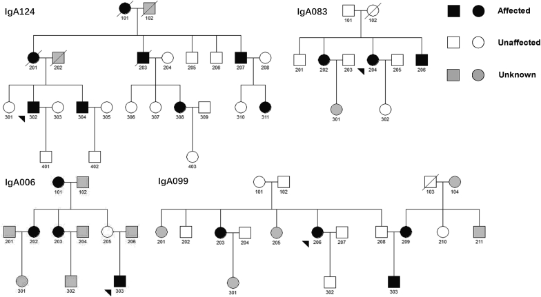 Figure 2