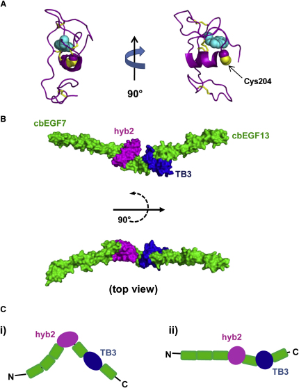 Figure 6