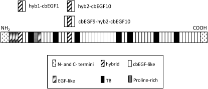 Figure 1