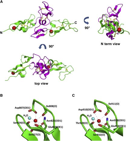 Figure 2