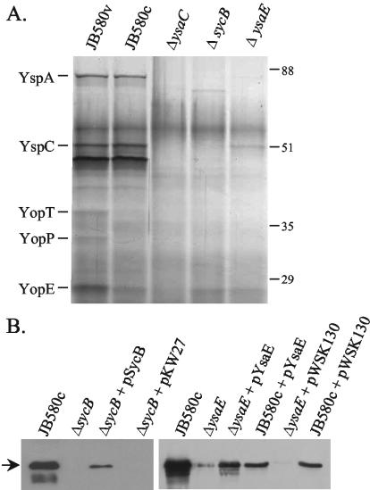 FIG. 2.