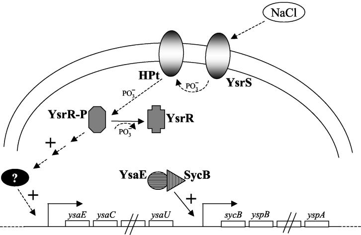 FIG. 5.