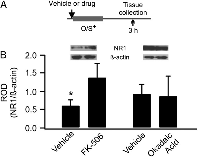 Figure 4.