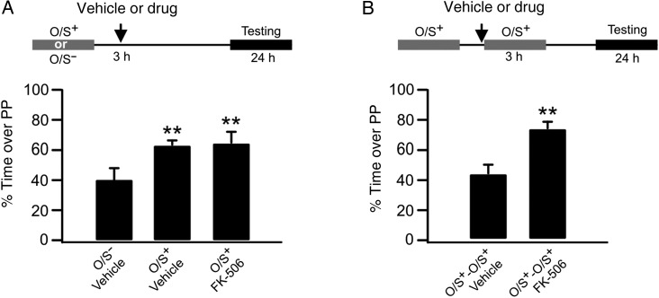 Figure 6.