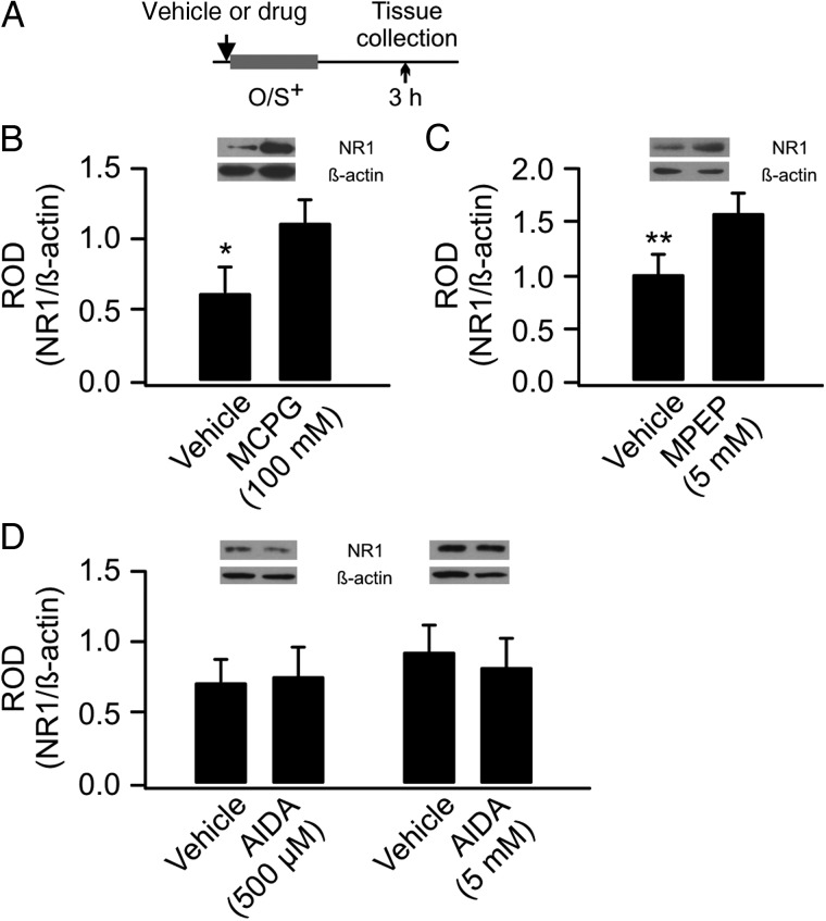 Figure 3.