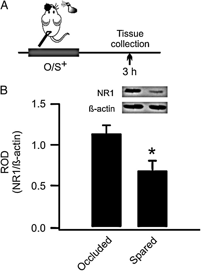 Figure 1.