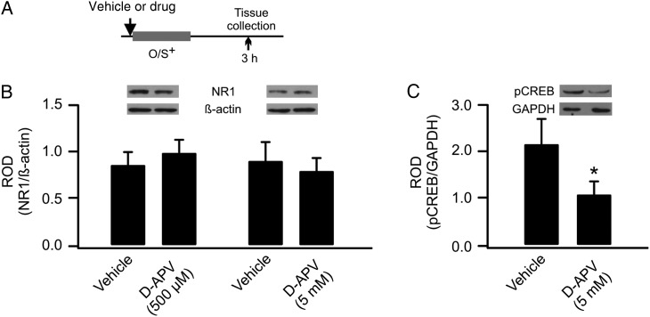 Figure 2.