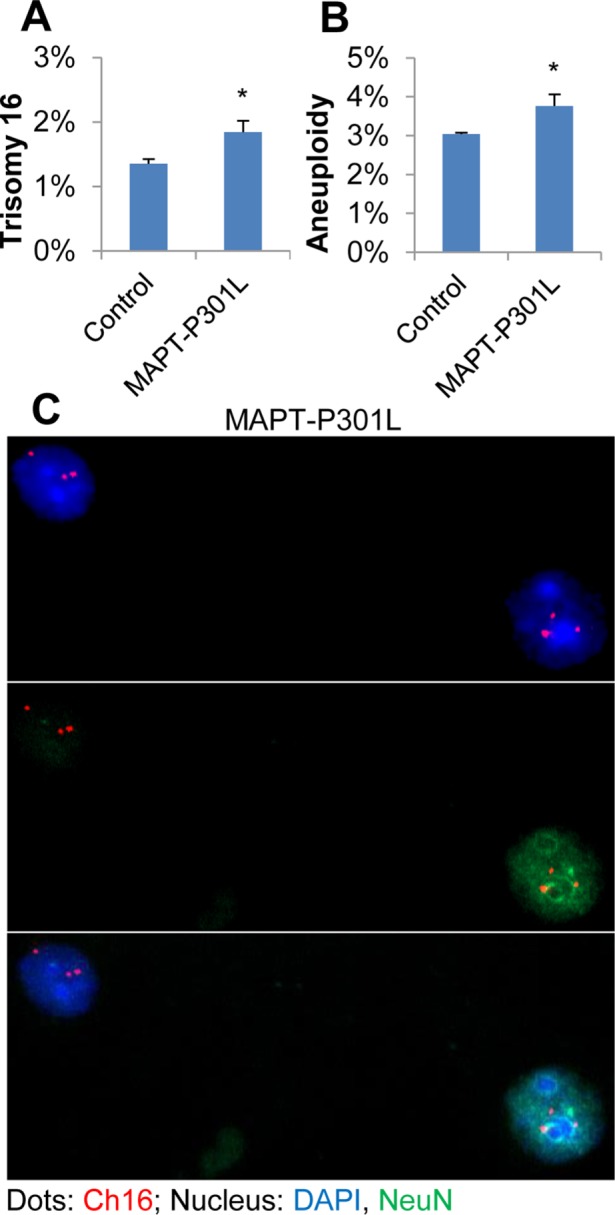 FIGURE 1: