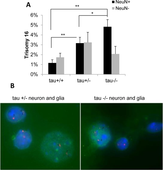 FIGURE 3: